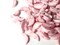100 12x5mm Baby Pink Moon Beads Crescent Moon Beads Plastic Man In The Moon Celestial Beads